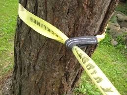 satın al Dış Sporlar için Özel Denge Polyester Tight Rope Yürüyüş Kemeri online manufacture