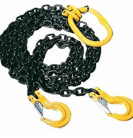 satın al Kaldırma ve Arma için Özelleştirilmiş Kaldırma Zinciri Askıları, G80 İki Bacak Zinciri Sling online manufacture