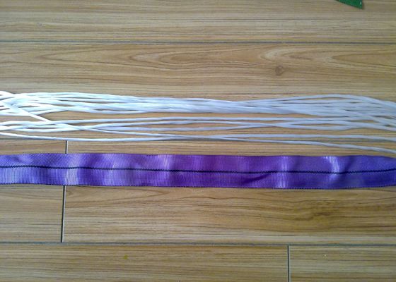 satın al Kaldırma Malzemeleri Poliester 90000Lb Yuvarlak Sling Kemeri Kullanım Dayanıklı online manufacture